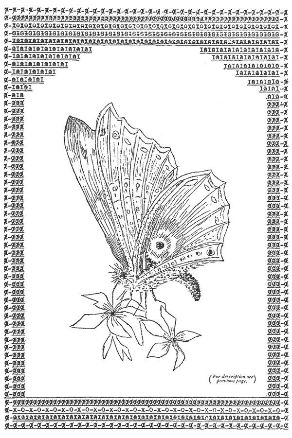 Flora Stacey typewriter art